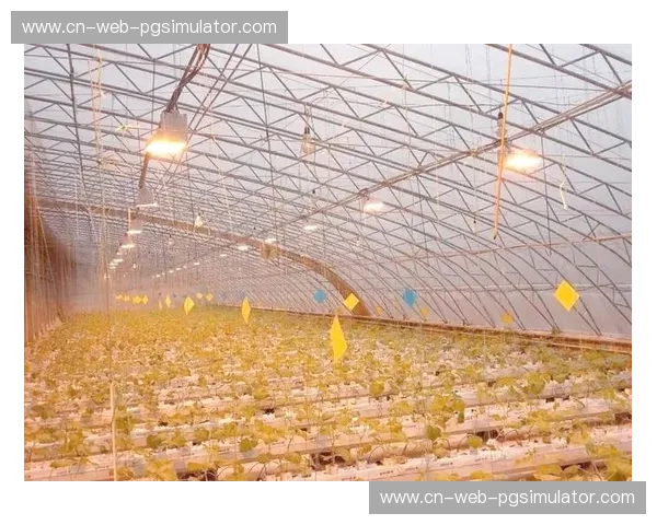 半透明屋顶阻挡65%自然光照 SoFi体育场启用LED植物生长灯补光